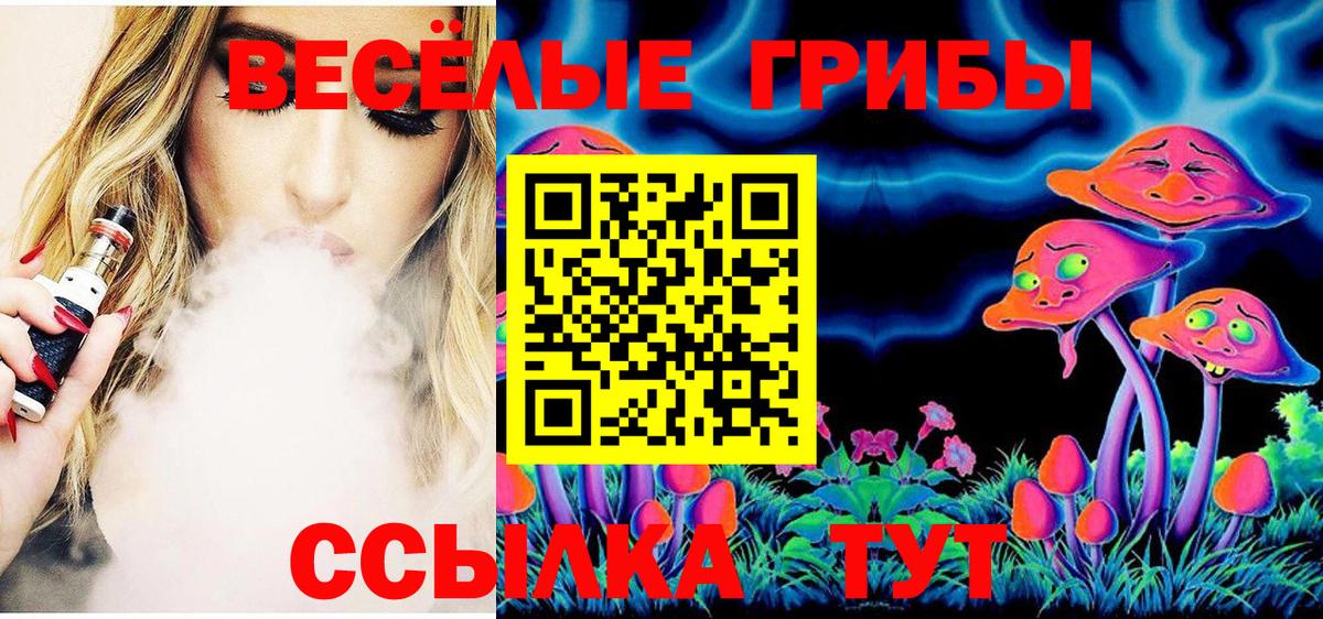 Псилоцибиновые грибы Cubensis  наркота  Орехово-Зуево  Вход с VPN 