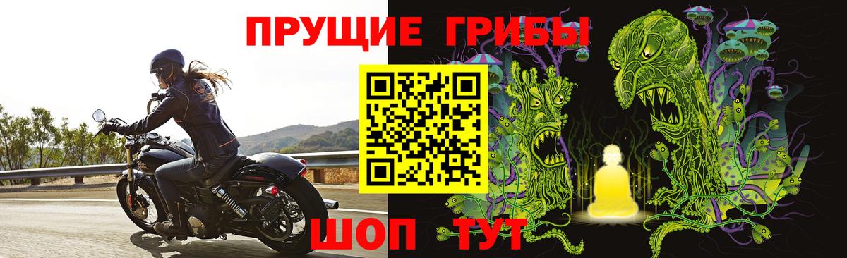 Псилоцибиновые грибы мухоморы Орехово-Зуево